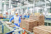 Còn nhiều khó khăn trong chống lẩn tránh phòng vệ thương mại