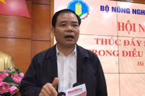 Chính phủ liên tục thúc giục nhưng giá thịt lợn vẫn cao