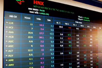 HNX Index tăng 5,52%, giá trị giao dịch giảm 41%