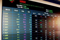 HNX Index tăng 5,52%, giá trị giao dịch giảm 41%