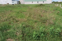 Kiểm tra đất đai tại 30 tỉnh, thành