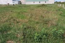 Kiểm tra đất đai tại 30 tỉnh, thành