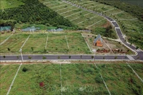 Nhiều đồi chè, cà phê tại B’Lao bị 'xẻ thịt', phân lô bán nền