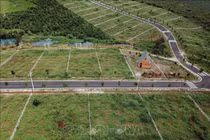 Nhiều đồi chè, cà phê tại B’Lao bị 'xẻ thịt', phân lô bán nền