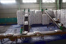 Giá phân bón bước vào chu kỳ tăng