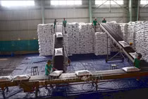 Giá phân bón bước vào chu kỳ tăng