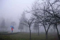 Đồng bằng ít khi có sương muối