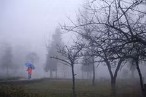 Đồng bằng ít khi có sương muối