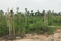 Sẽ thu hồi dự án dùng đất quốc phòng liên doanh nhưng không hiệu quả