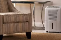 Chọn máy hút ẩm phù hợp