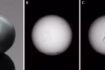  Gắn chip truy xuất vào ngọc trai