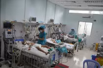 TPHCM ghi nhận hơn 16.000 ca sốt xuất huyết, 9 ca tử vong