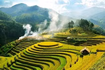 Du lịch sẽ mất từ 2 - 4 năm để hồi phục hoàn toàn