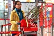 Hàng không đua mở dịch vụ vận chuyển đào, mai Tết 2020