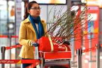 Hàng không đua mở dịch vụ vận chuyển đào, mai Tết 2020