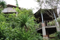 Nguyên Chủ tịch Mặt trận tổ quốc tỉnh xây nhà trái phép trên núi