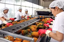 Xuất khẩu rau quả tháng 6 tăng  