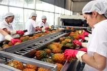 Xuất khẩu rau quả tháng 6 tăng  