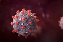 Vì sao biến chủng SARS-CoV-2 lây lan nhanh ở Việt Nam?