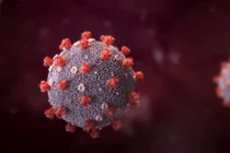 Vì sao biến chủng SARS-CoV-2 lây lan nhanh ở Việt Nam?