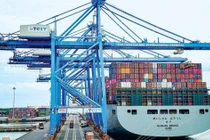 Cước vận tải container tiếp tục tăng phi mã