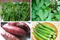 Chủ quan với táo bón phải nhập viện điều trị trĩ