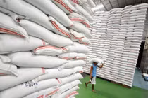 Hàn Quốc áp dụng thuế ưu đãi 5% cho hơn 55.000 tấn gạo Việt