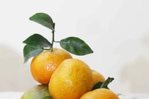 Thời điểm ngon nhất của quả