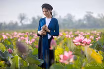 Hà Nội lãng mạn mùa sen