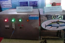 Công nghệ nano giữ cá ngừ tươi hơn 1 tháng