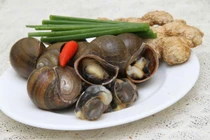 Ốc đồng nấu cần tây giúp ổn định mỡ máu