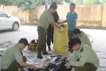 Khai trừ Đảng Phó Cục trưởng, cách chức Cục trưởng Cục Quản lý thị trường