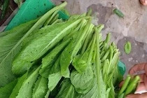 Loại rau quả nào nhiễm thuốc trừ sâu cao nhất?