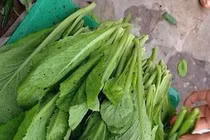 Loại rau quả nào nhiễm thuốc trừ sâu cao nhất?