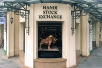 Doanh nghiệp phi ngân hàng khó tăng trưởng tốt trong năm 2020