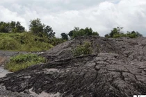 Hàng chục tấn bùn thải Nhà máy Alumin Nhân Cơ đổ trái phép ở Đắk Nông