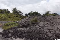 Hàng chục tấn bùn thải Nhà máy Alumin Nhân Cơ đổ trái phép ở Đắk Nông