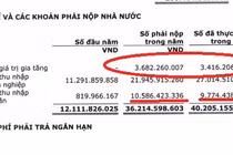 CNG Việt Nam phải đính chính báo cáo tài chính vì số liệu... không khớp