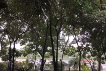 Từ ngày mai, Bắc Bộ và Bắc Trung Bộ trời chuyển lạnh 