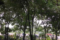 Từ ngày mai, Bắc Bộ và Bắc Trung Bộ trời chuyển lạnh 