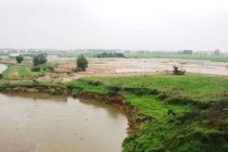 Hà Nội xử lý khẩn cấp sự cố sạt lở bờ hữu sông Cà Lồ