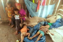 Lời ru buồn vời vợi đại ngàn, chuyện dài chưa hồi kết