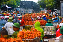 Bắc Giang: Liên danh Nhật Nam trúng thầu dự án khu đô thị Chợ Nông sản Lục Ngạn