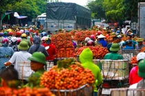 Bắc Giang: Liên danh Nhật Nam trúng thầu dự án khu đô thị Chợ Nông sản Lục Ngạn