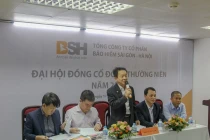 BSH tăng trưởng cao nhất thị trường bảo hiểm phi nhân thọ trong năm 2019