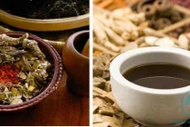 Thuốc Đông y trị các giai đoạn áp xe gan