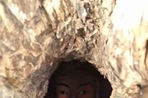 Ruột cây nghìn tuổi “giấu” tượng phật