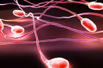 Các bệnh khiến tinh dịch có máu