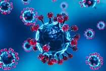 Xuất hiện dòng phụ thế hệ thứ 2 của Omicron