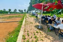 Môi giới cần phải có chứng chỉ hành nghề và có thể bị xử phạt nếu cung cấp thông tin chưa đúng hoặc chưa đầy đủ (Ảnh minh họa: Thế Hưng).